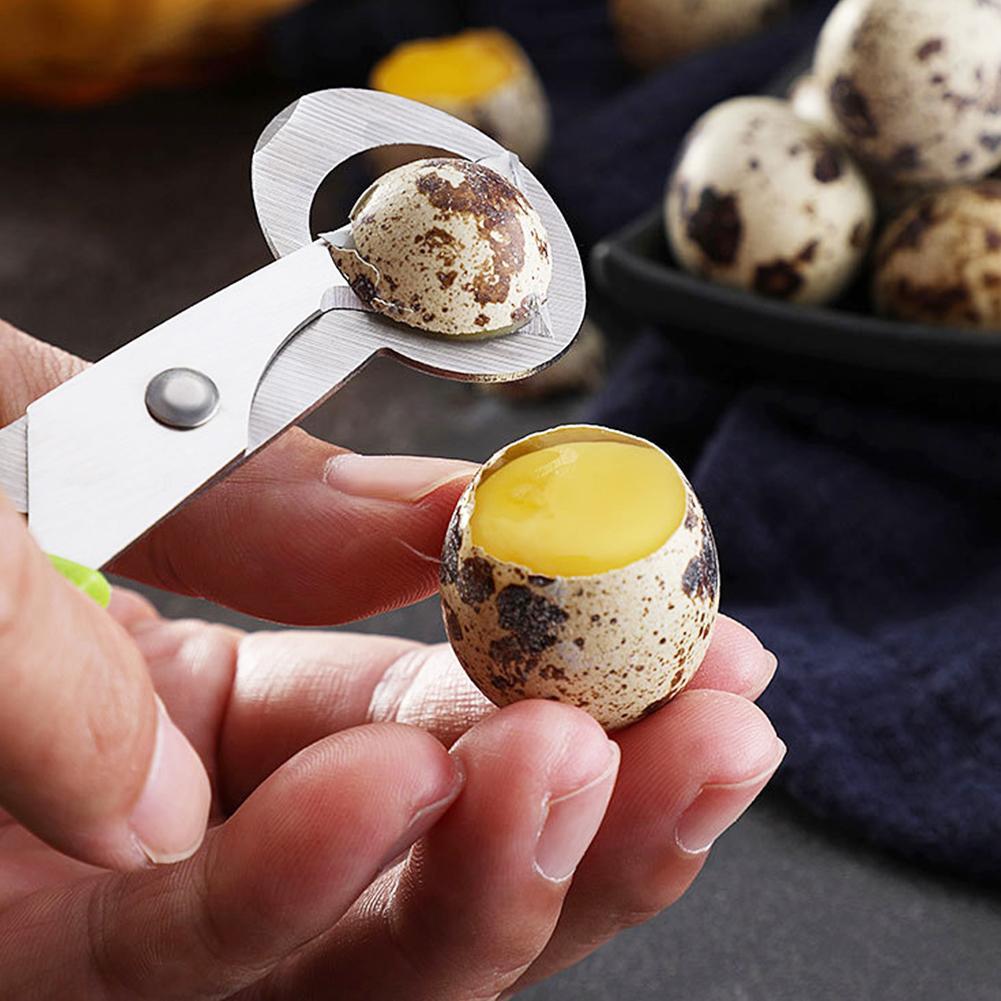 Egg Separator Tool - 비둘기 메추라기 작은 계란 껍질 가위