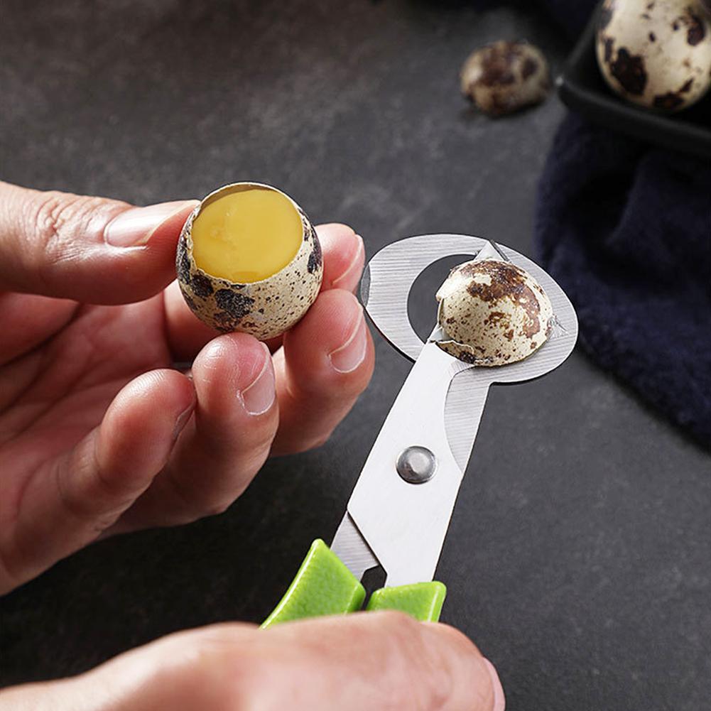 비둘기 메추라기 작은 계란 껍질 가위 커터 새알 껍질  - Egg Separator Tool 리뷰 및 가격